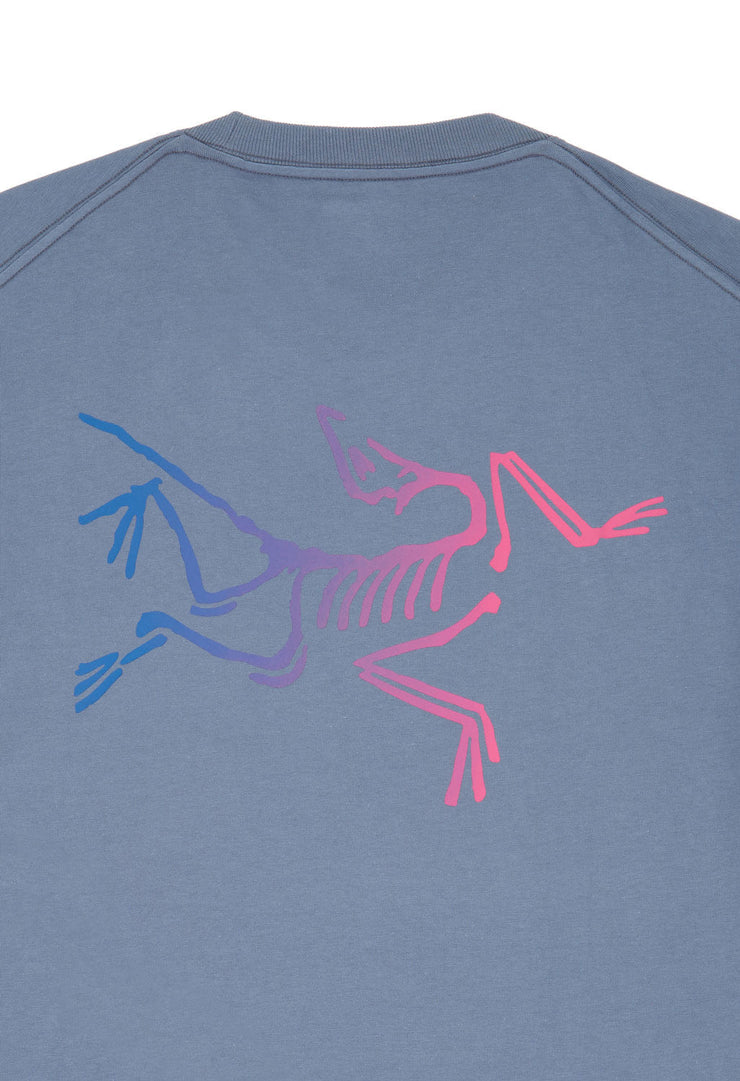 Arc'teryx Men's Kragg Cotton Logo Short Sleeve T Shirt - Stratus / Multi